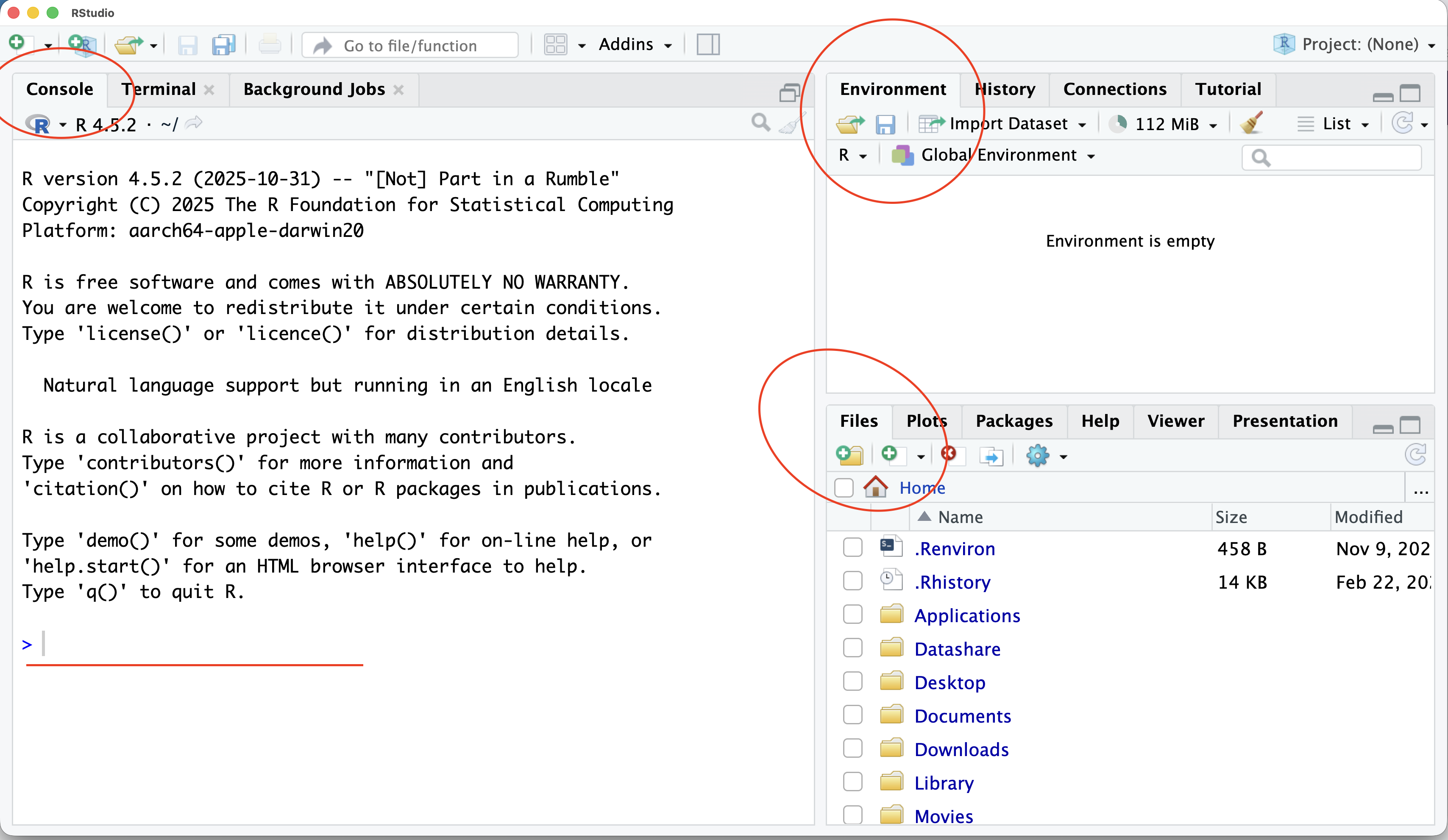 A screenshot of the R Studio main window with red circles around the console, environment and files tabs for emphasis.